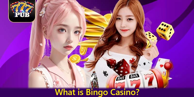 What is Bingo Casino?